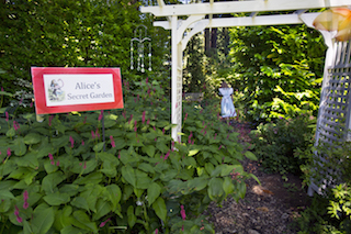 Alice garden
