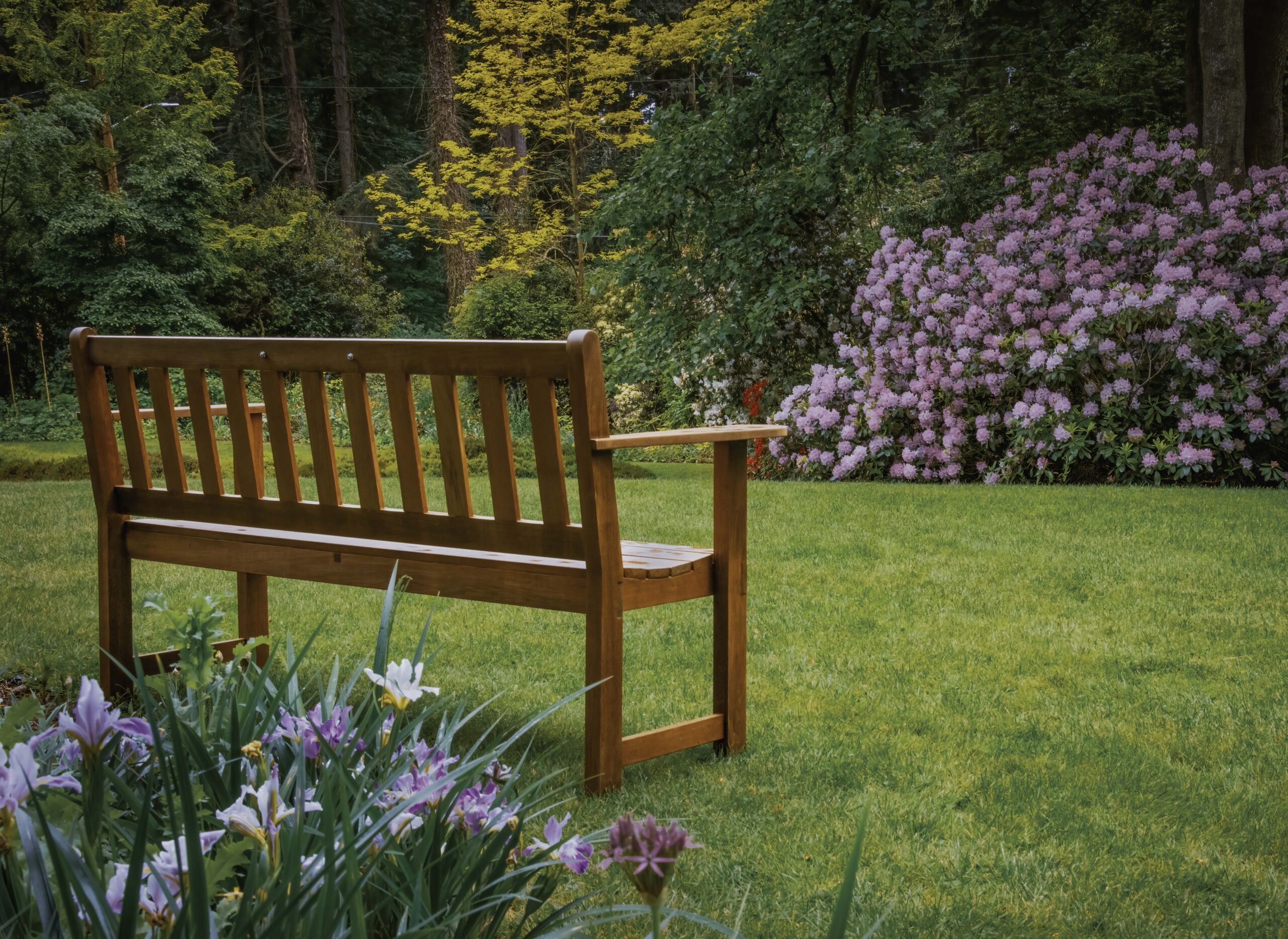 Bench Bench