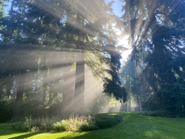 July on the Great Lawn