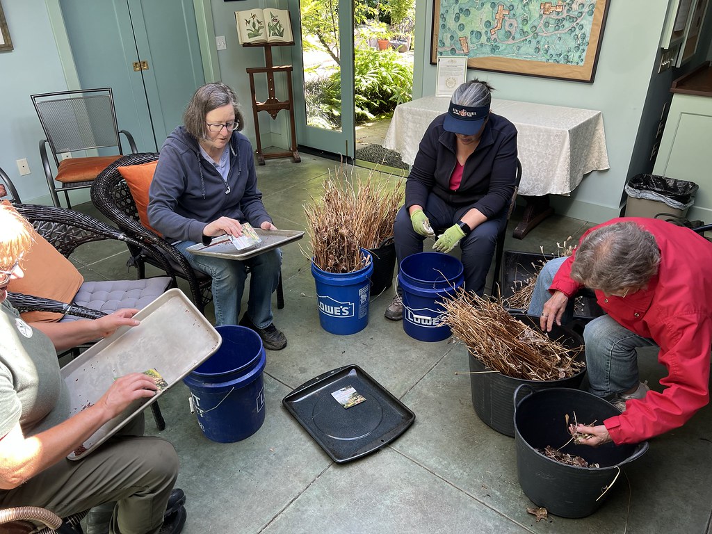 53105251741_ff410582fe_b