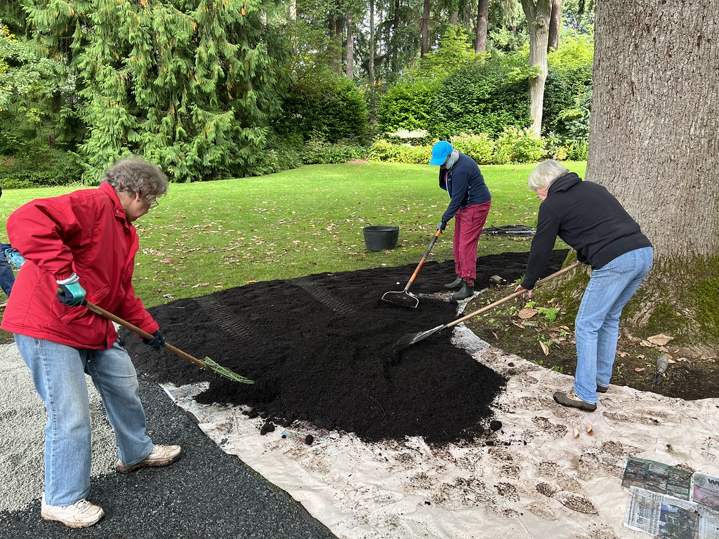 53234444826_ecca8c0b04_b